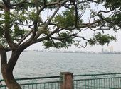 Bán Nhà Ngõ Trích Sài, Cách Hồ Tây 10 M, 35M2, 3 Tầng, Sổ Đỏ Vuông Đẹp, 2,99 Tỷ
