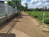 Đất Khu công nghiệp Dầu Giây Sổ Riêng 220 Triệu/nền 100M2