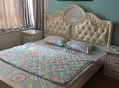 Cho Thuê Nhiều Căn Hộ Trung Tâm Thành Phố Đà Nẵng Giá Tốt Đã Đi Vào Hoạt Động
