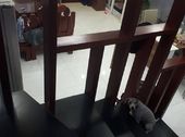 Bán Nhà Riêng 21 Lê Đức Thọ, Mỹ Đình, Dt 50M2, Ô Tô Đỗ Cửa 0946866186