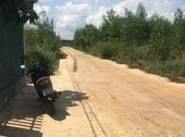 Mở Bán Dự Án Mới Xã Sông Trầu, Trảng Bom, Cách Thị Trấn 1Km, Giá 270 Triệu/nền, Xây Dựng Được Ngay