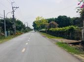 Đất Biệt Thự Vườn Đường Cây Trôm Mỹ Khánh - Thái Mỹ Sang Tên Trong Ngày