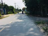 Đất Biệt Thự Vườn Đường Cây Trôm Mỹ Khánh - Thái Mỹ Sang Tên Trong Ngày