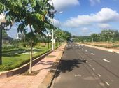 Đất Nền Sổ Đỏ Trung Tâm Thành Phố Đồng Xoài Giá Đợt 1 Chỉ 4.5 Tr/m2