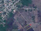 Đất Trồng Lúa Nước Giá Dễ Đầu Tư Mặt Tiền Đường Đặng Văn Sơn H.bến Cầu T.tây Ninh. 