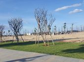 Đất Biển Nhơn Hội Quy Nhơn