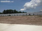 Đất Nền Liền Kề Hồ Tràm,mt Đường 45M Kết Nối Sân Bay Lộc An,shr, giá Cạnh Tranh,lh 091 441 6498