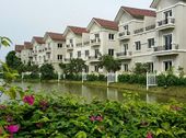 Vinhomes Riverside Quỹ Căn Đơn Lập Song Lập Giá Tốt Nhất .lh 0913259760