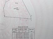 Chính Chủ Cần Bán Gấp Đất Mặt Đường Lê Duẩn(42M), Phủ Lý. Diện Tích: 344,4M2. Giá 19Tr/m
