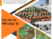 Đất Nền Khu Dân Cư Sơn Tịnh Mở Bán Vài Lô Cuối Giá Từ 1 Tỷ - Đừng Bỏ Lỡ!!!