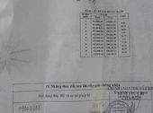 Cần Tiền Bán Đất Giá Rẻ Tại Tân Thạnh Đông- Củ Chi