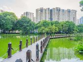 Chính Chủ Cần Bán Gấp Căn Hộ Chung Cư Tại Celadon City - Quận Tân Phú - Hồ Chí Minh