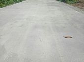 Đang Cần Bán 2 Mẫu Đất Ngay Hồ Sinh Thái Châu Pha