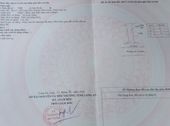 Bán Đất Nền Dự Án T&t Long Hậu, Long An