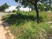 Gửi Bán Vài Lô Đất Trong Khu Đô Thị Mỹ Phước 3 - Bình Dương, Giá Cho Nhà Đầu Tư