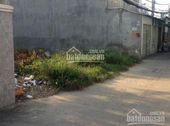 Cần Tiền Bán Gấp Đất Ngay Mt Đường Vườn Thơm, Bình Chánh, Sổ Riêng 900Tr/nền, Hiếu: 0902680537 
