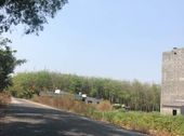Kẹt Tiền Bán Đất Dầu Tiếng Bình Dương Giá Rẻ 290 Triệu/1000M2