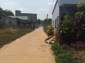 Gia Đình Muốn Bán Gấp Đất Tại Thành Phố Đồng Xoài Để Lấy Tiền Kinh Doanh