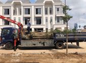 Mở Bán Đợt 1 Nhà Phố  5X20 1 Trệt 2 Lầu Giá Chỉ 800Tr Căn . Chiếc Khấu 10% Tặng Viênkim Cương 30Tr