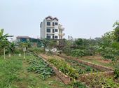 Nhượng Quyền Sử Dụng Đất Lô 47M2