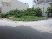 Bán Đất Tại Đường Trần Văn Giàu - Bình Chánh