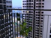 Cho Thuê Ngay Căn 3Pn2Vs Rẻ Nhất Trung Tâm Tiện Ích Vinhomes Ocean Park