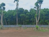 Cơ Hội Sở Hữu Ngay 4000M2, Khuôn Viên Hoàn Thiện Tại Lương Sơn