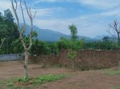 Cơ Hội Sở Hữu Ngay 4000M2, Khuôn Viên Hoàn Thiện Tại Lương Sơn