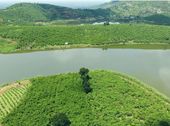 Bán Đất Ven Hồ, View Cực Đẹp Tại Lộc Đức, Bảo Lâm, Lâm Đồng.