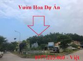  Bán Nhiều Lô Đất Kđt Tuấn Thành,hà Khánh.dt Từ 75M2 Đến 100M2 !!!