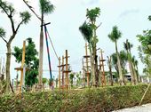 Đô Thị Liền Kề Sân Bay Long Thành Gem Sky World. Chỉ 680Tr/ Sở Hữu