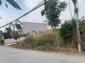 Bán Gấp Đất Thổ Cư 1000 M2 Bùi Văn Sự Bình Chánh