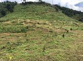 Bán Đất View Đẹp Có Thác, Suối Bao Quanh, Có Hồ, Thích Hợp Đầu Tư, Kinh Doanh Homestay, Nghỉ Dưỡng