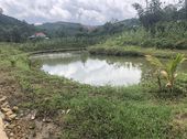 Bán Đất View Đẹp Có Thác, Suối Bao Quanh, Có Hồ, Thích Hợp Đầu Tư, Kinh Doanh Homestay, Nghỉ Dưỡng