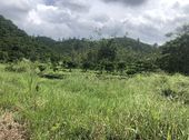 Bán Đất View Đẹp Có Thác, Suối Bao Quanh, Có Hồ, Thích Hợp Đầu Tư, Kinh Doanh Homestay, Nghỉ Dưỡng