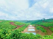 Vỡ Nợ Cần Bán Gấp Lô Đất 500M2