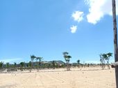 Kẹt Tiền Cần Bán 02 Lô Đất Biển Quy Nhơn