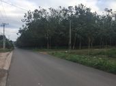 Đất Nền Cách Sân Bay Long Thành 10Km Dự Án Mới Aqua Residences