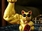 Thanh Toán 200 Triệu Cam Kết Lời 30% Với The Rivana.