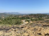 Bán Đất Bảo Lâm View Nghỉ Dưỡng Sườn Đồi Mặt Tiền Đường Nhựa, Đầu Tư Nghỉ Dưỡng.