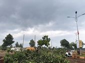 Đất Nền Dự Án Felicia City Bình Phước Mặt Tiền Dt741