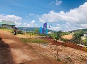 Bán Đất Đường Măng Line - P7 - Tp. Đà Lạt. Diện Tích: 219.39M² (10*21.55)