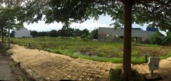 Bán đất thổ cư phường Phú Hữu giá sốc chỉ với 15 - 18 triệu/m2