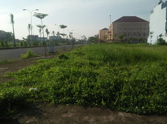 Thật Đễ Dàng Sở Hữu Đất Nền Giá Rẻ Tại Đẹp Nhất Tại Long An