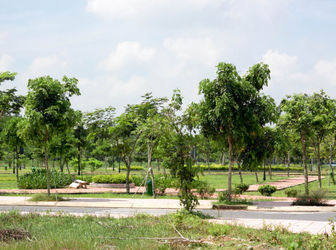 Tôi Cần Bán Gấp 3 Lô Liền Kề Đường Liên Phường, Phường Phú Hữu Q. 9. SHR, Giá 10 Triệu/M2, DT 5x20m