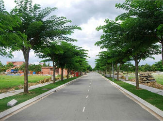 Đất Bình Chánh Duy Nhất Ngày Mở Bán Chỉ Từ 225tr/N Pháp Lý An Toàn CK 6% Tặng 2 Chỉ Vàng