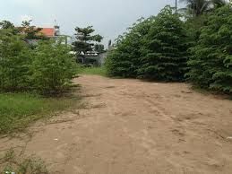 Đất Thổ Cư 2385m/2 Mặt Tiền Đường Dương Công Khí Hốc Môn