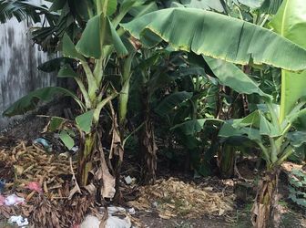 Bán 91m2 Đất Thổ Cư Quyết Tiến Vân Côn Đường 4m Giá 8,5tr/M2