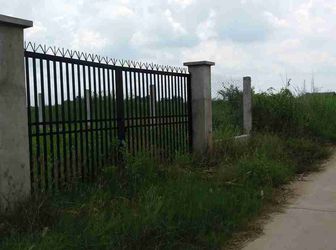 Bán 500m2 Đất Xây Biệt Thự Vườn Nhà Bè, View Sông Mát Mẻ, Shr, Giá 1,85 Tỷ