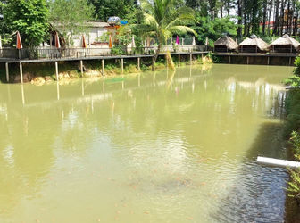 Bán Quán Ăn Kèm Câu Cá Giải Trí Ngay Thị Trấn Đức Hòa, Long An